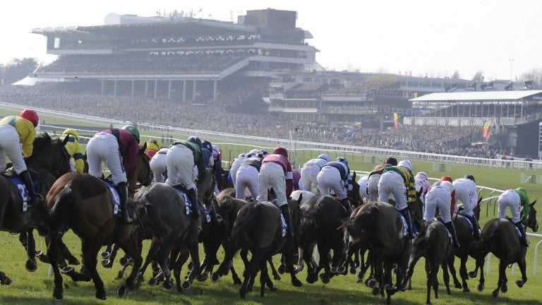 Father’s Day Gift Guide: Horse Racing Binoculars, Ties & Socks Dad Will Love