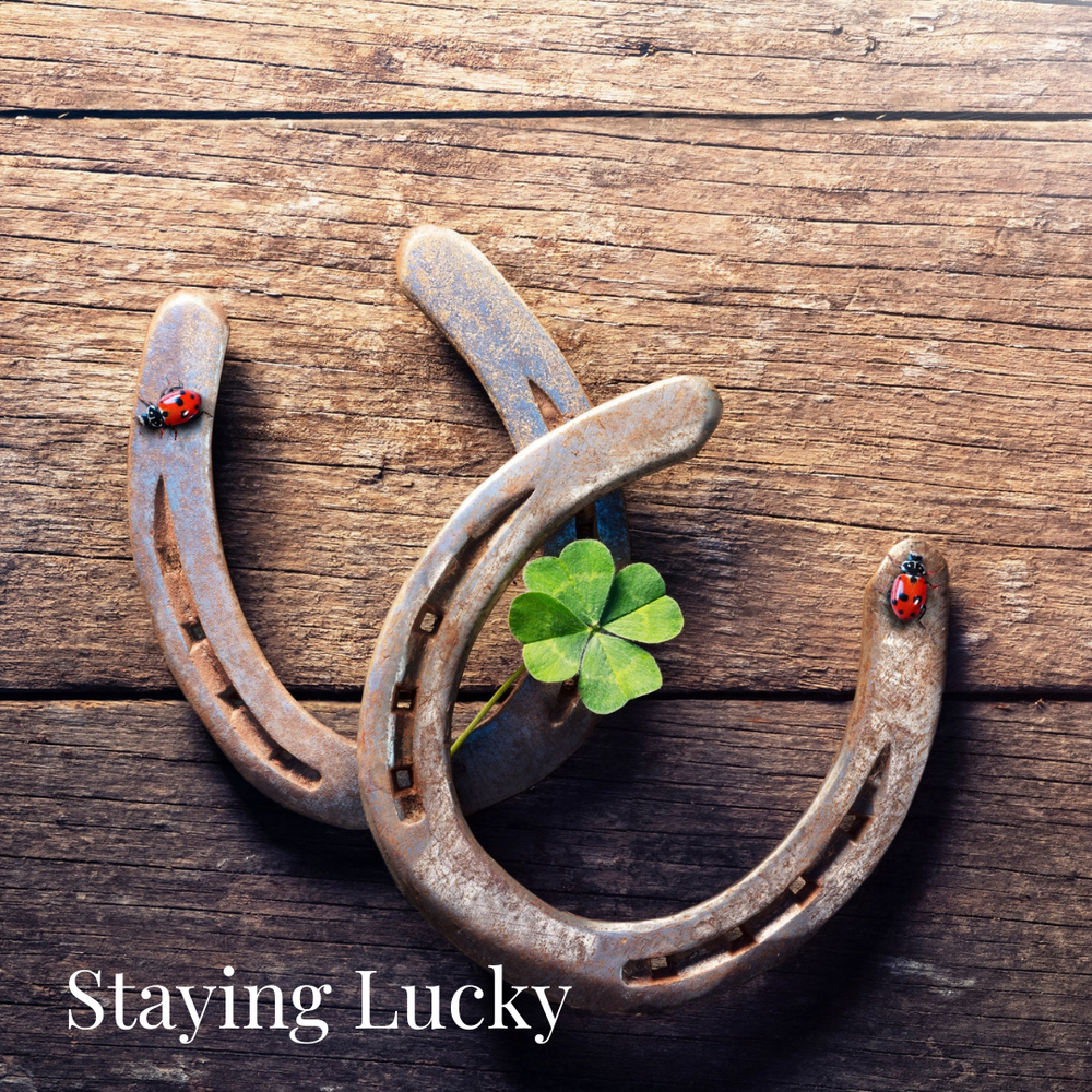 Horse Racing Gifts - Race Day Accessories & Attire